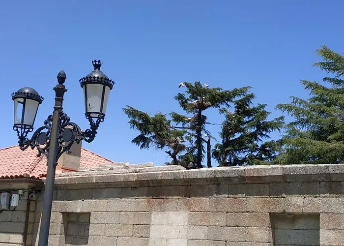 El Zapatero De Sexifirmo